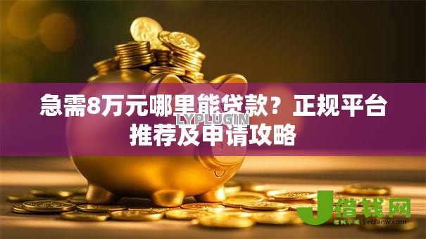 急需8万元哪里能贷款？正规平台推荐及申请攻略
