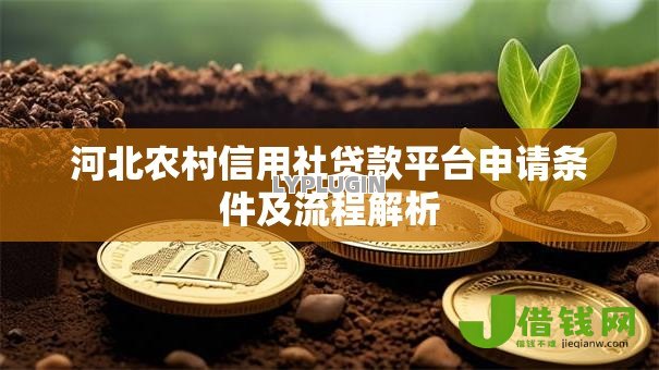 河北农村信用社贷款平台申请条件及流程解析