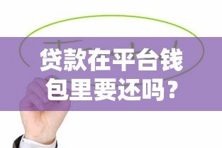 贷款在平台钱包里要还吗？详细解答还款责任与风险