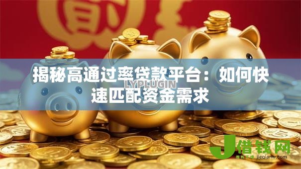 揭秘高通过率贷款平台：如何快速匹配资金需求