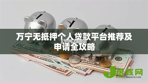 万宁无抵押个人贷款平台推荐及申请全攻略