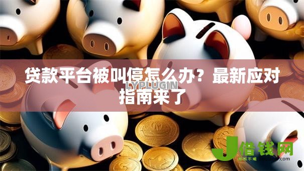 贷款平台被叫停怎么办？最新应对指南来了