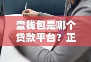 壹钱包是哪个贷款平台?正规贷款平台解析与使用指南 壹钱包是哪个贷款平台?正规贷款平台解析与使用指南