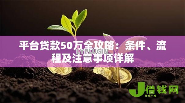 平台贷款50万全攻略：条件、流程及注意事项详解