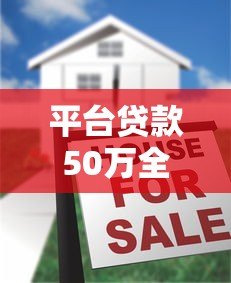 平台贷款50万全攻略：条件、流程及注意事项详解