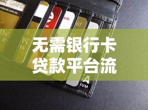 无需银行卡贷款平台流程解析:快速到账方法指南 无需银行卡贷款平台流程解析:快速到账方法指南