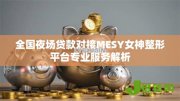 全国夜场贷款对接MESY女神整形平台专业服务解析