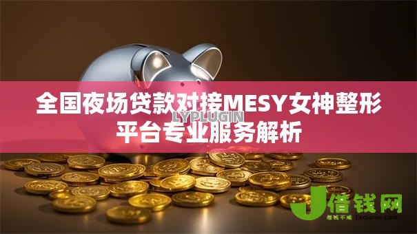 全国夜场贷款对接MESY女神整形平台专业服务解析