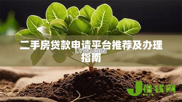 二手房贷款申请平台推荐及办理指南