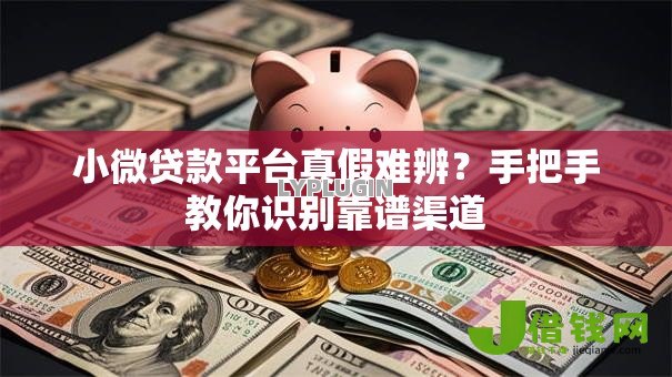 小微贷款平台真假难辨?手把手教你识别靠谱渠道 小微贷款平台真假难辨?手把手教你识别靠谱渠道