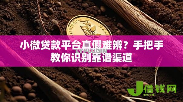 小微贷款平台真假难辨?手把手教你识别靠谱渠道 小微贷款平台真假难辨?手把手教你识别靠谱渠道