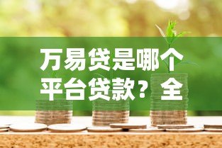 万易贷是哪个平台贷款？全面解析其背景与借款流程
