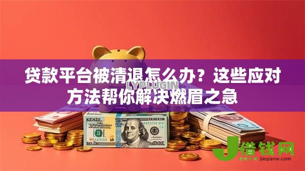 贷款平台被清退怎么办?这些应对方法帮你解决燃眉之急 贷款平台被清退怎么办?这些应对方法帮你解决燃眉之急