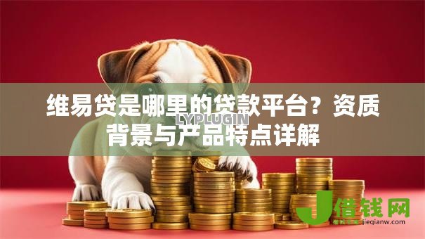 维易贷是哪里的贷款平台?资质背景与产品特点详解 维易贷是哪里的贷款平台?资质背景与产品特点详解