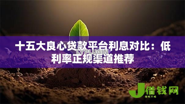 十五大良心贷款平台利息对比：低利率正规渠道推荐