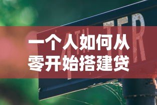 一个人如何从零开始搭建贷款平台:完整指南与实战步骤 一个人如何从零开始搭建贷款平台:完整指南与实战步骤