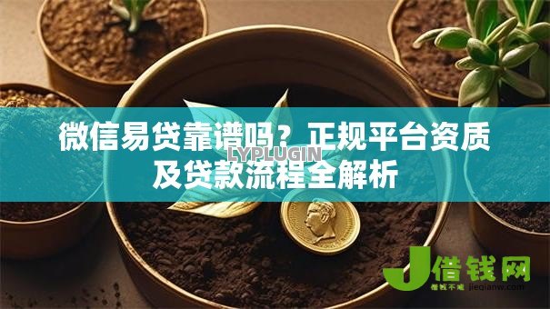 微信易贷靠谱吗？正规平台资质及贷款流程全解析
