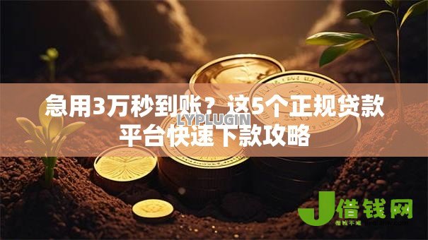 急用3万秒到账？这5个正规贷款平台快速下款攻略