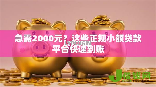 急需2000元？这些正规小额贷款平台快速到账
