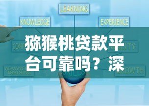 猕猴桃贷款平台可靠吗?深度分析其正规性与安全性 猕猴桃贷款平台可靠吗?深度分析其正规性与安全性
