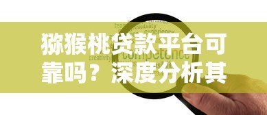 猕猴桃贷款平台可靠吗?深度分析其正规性与安全性 猕猴桃贷款平台可靠吗?深度分析其正规性与安全性