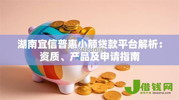 湖南宜信普惠小额贷款平台解析：资质、产品及申请指南