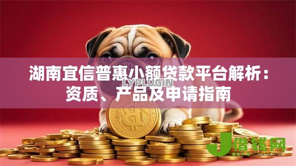 湖南宜信普惠小额贷款平台解析：资质、产品及申请指南