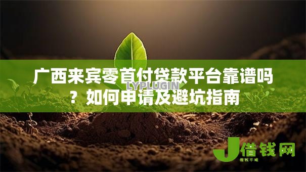 广西来宾零首付贷款平台靠谱吗？如何申请及避坑指南