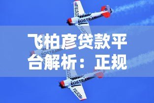 飞柏彦贷款平台解析：正规性、产品特点及申请流程全指南
