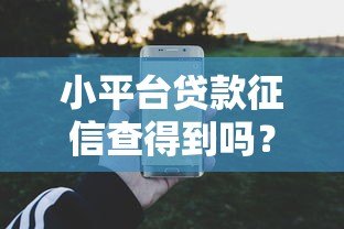 小平台贷款征信查得到吗？真实情况解析