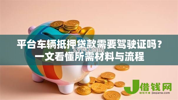 平台车辆抵押贷款需要驾驶证吗？一文看懂所需材料与流程