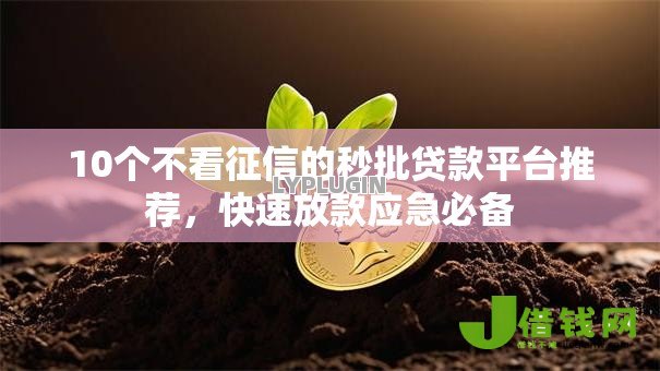 10个不看征信的秒批贷款平台推荐,快速放款应急必备 10个不看征信的秒批贷款平台推荐,快速放款应急必备