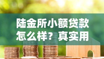 陆金所小额贷款怎么样？真实用户评价+申请攻略