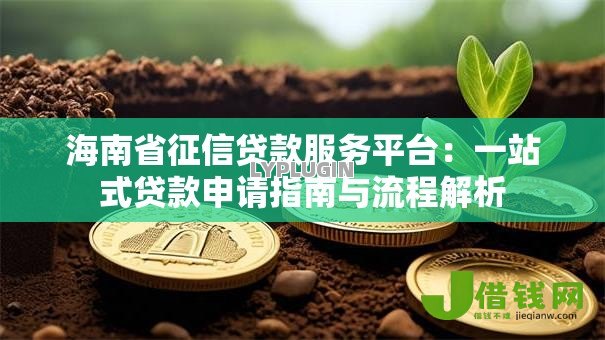 海南省征信贷款服务平台:一站式贷款申请指南与流程解析 海南省征信贷款服务平台:一站式贷款申请指南与流程解析