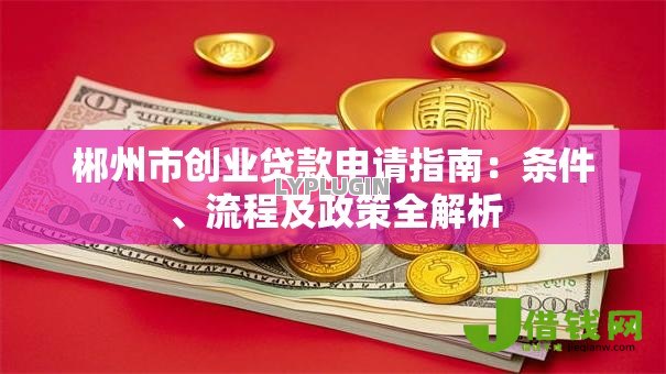 郴州市创业贷款申请指南：条件、流程及政策全解析