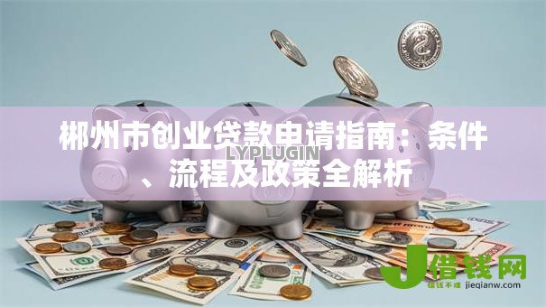 郴州市创业贷款申请指南：条件、流程及政策全解析