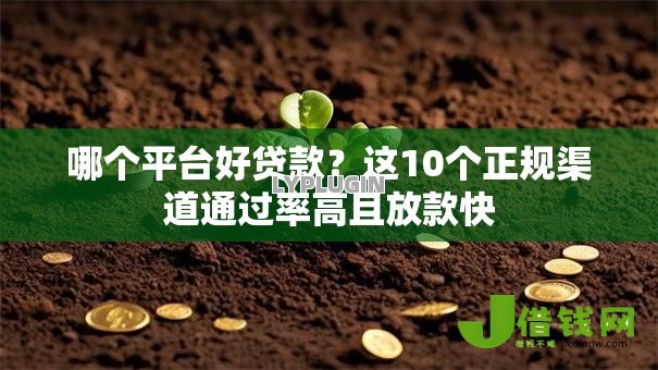 哪个平台好贷款?这10个正规渠道通过率高且放款快 哪个平台好贷款?这10个正规渠道通过率高且放款快