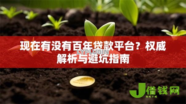 现在有没有百年贷款平台？权威解析与避坑指南
