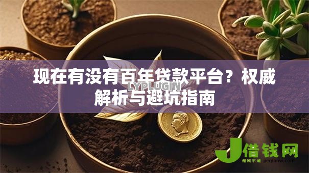 现在有没有百年贷款平台？权威解析与避坑指南