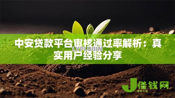 中安贷款平台审核通过率解析：真实用户经验分享