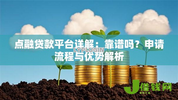 点融贷款平台详解:靠谱吗?申请流程与优势解析 点融贷款平台详解:靠谱吗?申请流程与优势解析
