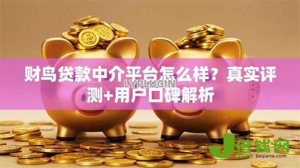 财鸟贷款中介平台怎么样？真实评测+用户口碑解析