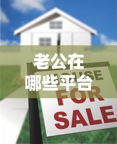 老公在哪些平台贷款？5种真实查询方法及注意事项