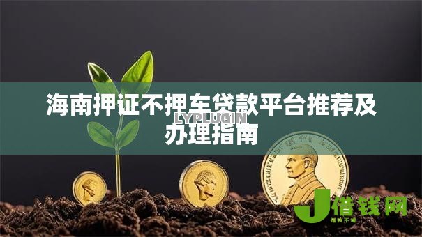 海南押证不押车贷款平台推荐及办理指南