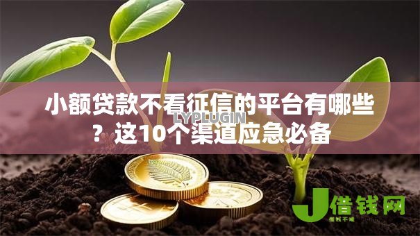 小额贷款不看征信的平台有哪些？这10个渠道应急必备