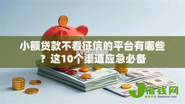 小额贷款不看征信的平台有哪些？这10个渠道应急必备