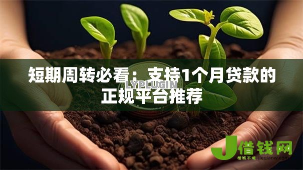 短期周转必看:支持1个月贷款的正规平台推荐 短期周转必看:支持1个月贷款的正规平台推荐
