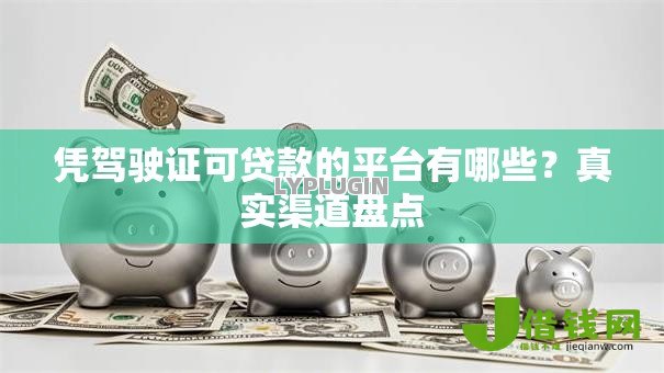 凭驾驶证可贷款的平台有哪些?真实渠道盘点 凭驾驶证可贷款的平台有哪些?真实渠道盘点