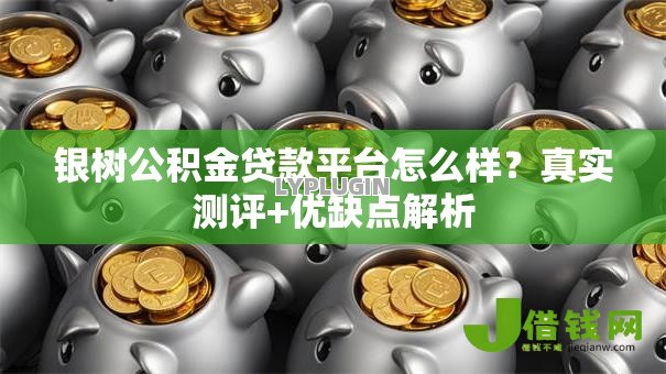 银树公积金贷款平台怎么样？真实测评+优缺点解析