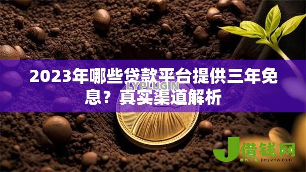 2023年哪些贷款平台提供三年免息?真实渠道解析 2023年哪些贷款平台提供三年免息?真实渠道解析